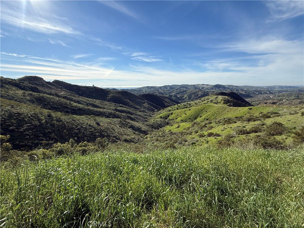 Photo of 28292 WILLIAMS CANYON Road, Silverado, CA 92676 (MLS # OC26013309)