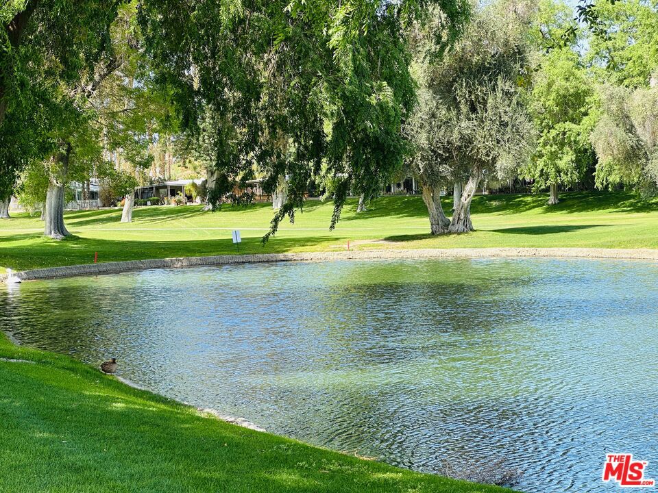 Date Palm Country Cl - Manufactured In Park