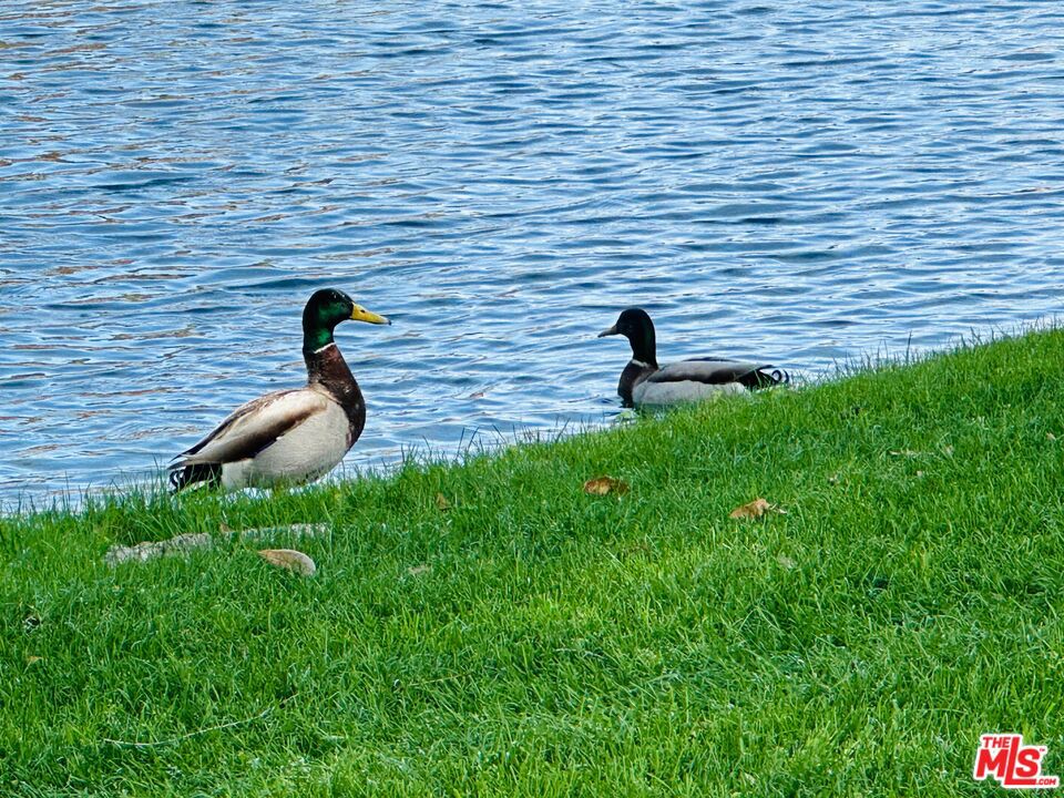 Date Palm Country Cl - Manufactured In Park