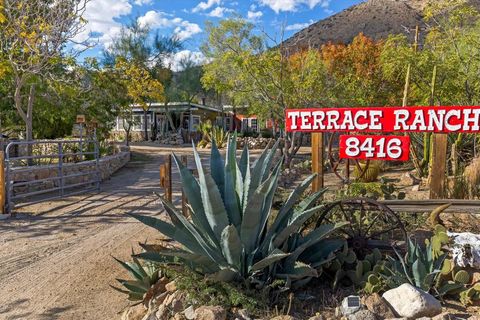 Photo of 8416 Terrace Drive, Morongo Valley, CA 92256 (MLS # 219137798PS) Photo of 8416 Terrace Drive, Morongo Valley, CA 92256 (MLS # 219137798PS)