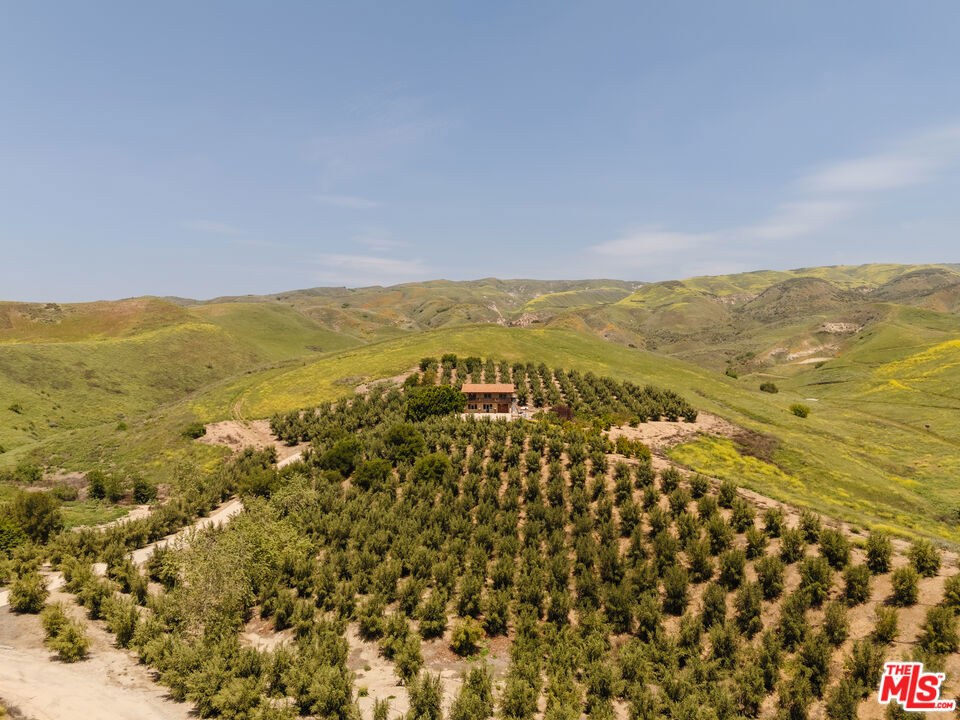 Set amid the rolling hills of Happy Camp Canyon, Bella Ventura offers 54.6 acres of sweeping landscapes, privacy, and possibility all less than an hour from Los Angeles. Newly paved roads lead you through flourishing groves of approximately 250 mature olive trees, a feature that not only enriches the property's Mediterranean charm but also offers potential for boutique olive oil production. Anchoring the land is a charming guest cabin with 2 bedrooms and 2 bathrooms. Designed with rustic warmth, the cabin features vaulted wood-beamed ceilings, wraparound balconies, and panoramic views stretching across orchards, meadows, and distant ridgelines. Whether serving as an immediate retreat, caretaker's residence, or guest house, it offers both comfort and flexibility. The property also boasts a substantial buildable pad, ideally positioned for a custom luxury estate. Conceptual renderings reveal the extraordinary vision of what could be created whether a generational compound, equestrian ranch, or vineyard retreat. Meanwhile, the surrounding acreage provides ample room for agricultural ventures, gardens, or continued olive cultivation. Bella Ventura combines the romance of a private countryside escape with the strategic potential of a large-scale investment. From tranquil mornings overlooking your orchards to long-term plans of creating a world-class estate, this property presents a rare opportunity to build both a lifestyle and a legacy.