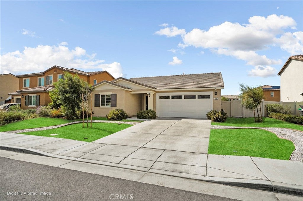 246 Scarlet Oak