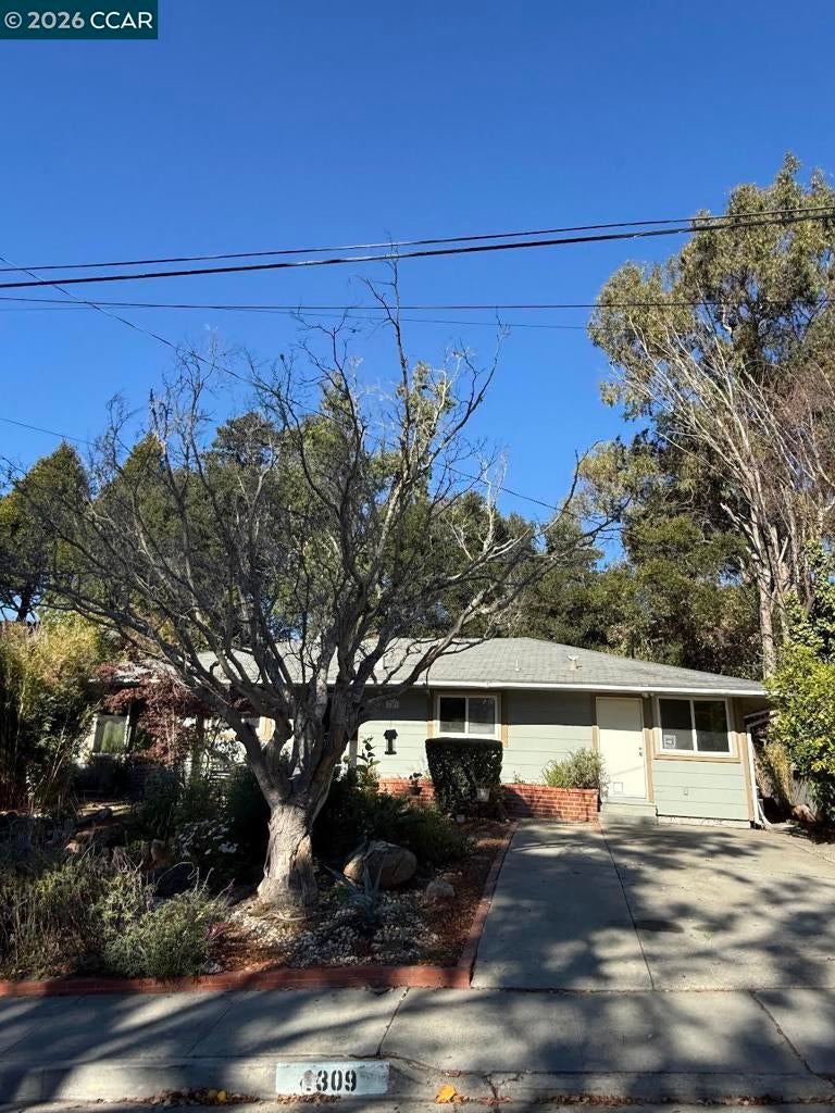 4309 Nelson Dr DR