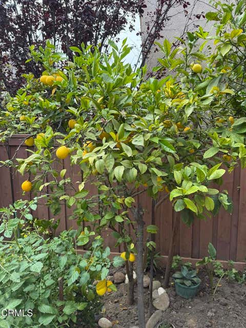 Tiny photo for 274 Potawatome Street, Ventura, CA 93001 (MLS # V1-37527)