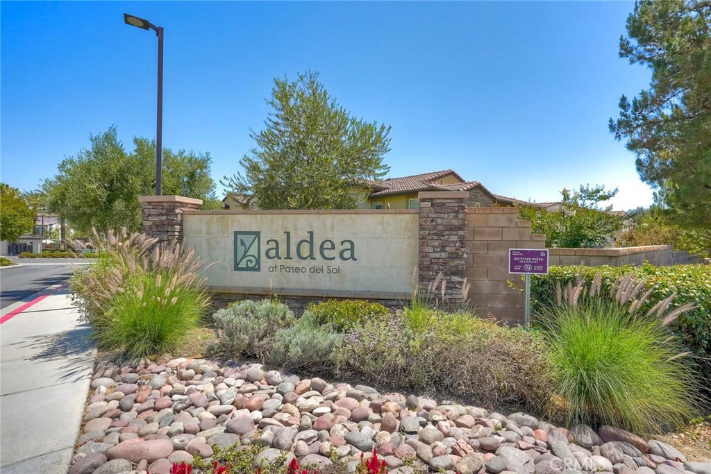 44091 Calle Luz