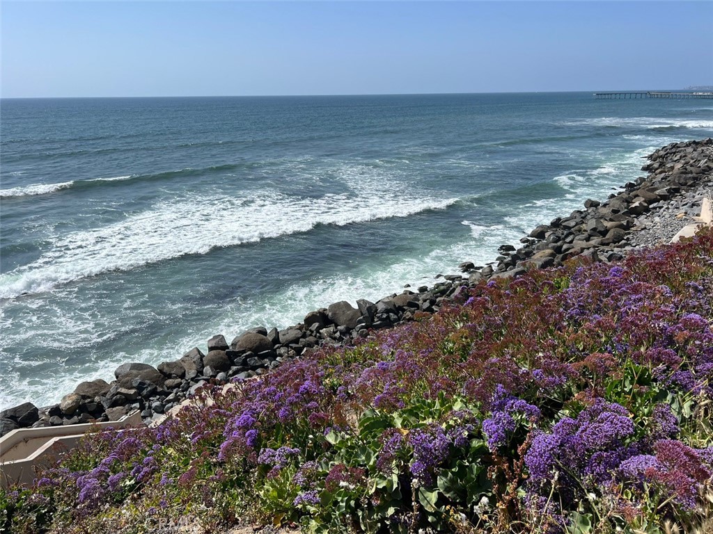 Ocean Beach - Residential Lease