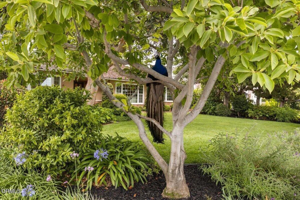 1125 Encanto Drive