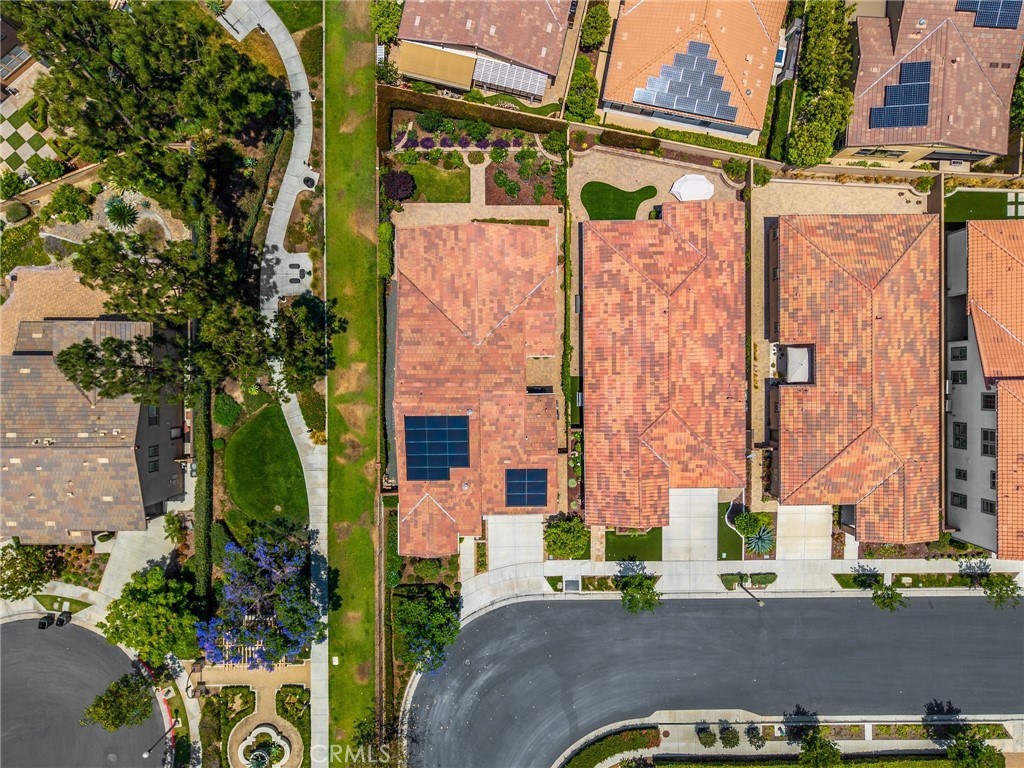 3541 Camelia Lane
