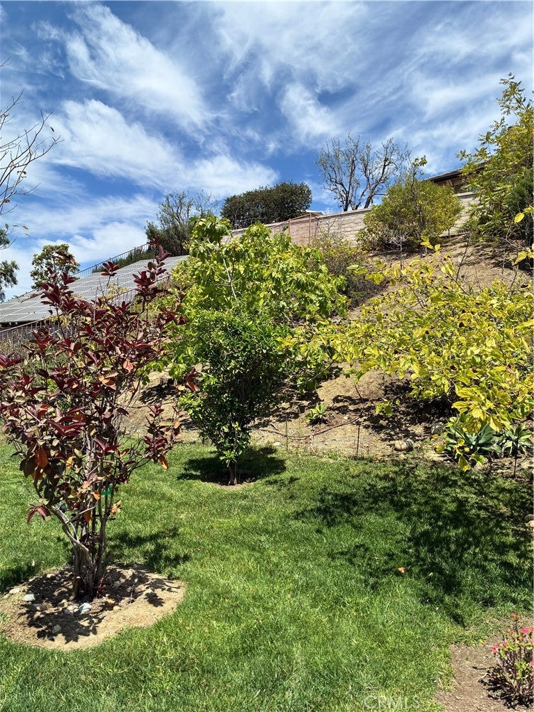 31378 Juliana Farms Road, San Juan Capistrano CA 92675 - Photo 55