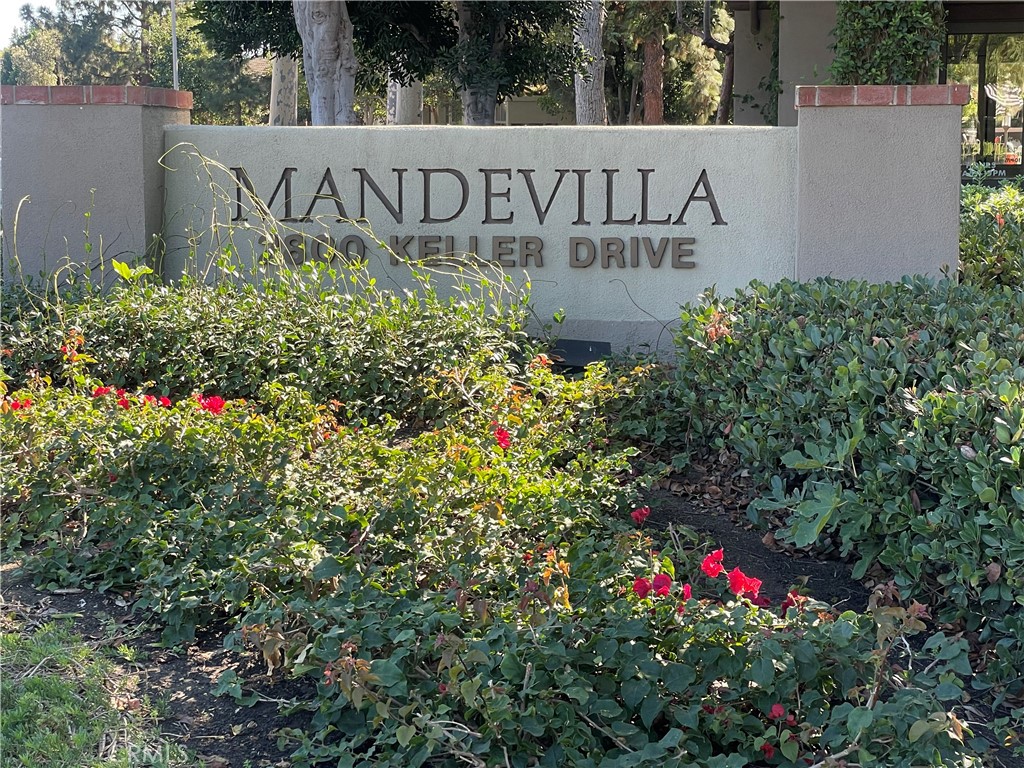 Mandevilla (MAND) - Residential Lease