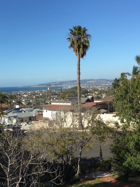 Large traditional home in prime Sunset Cliffs location. Panoramic Ocean and La Jolla Coastline views, spacious two story floor plan, hard wood floors throughout, newer kitchen with granite and ample cabinet space, eat in nook with ocean views, formal Living room / Den with their own fireplace, Lg Basement area ( game room or storage) and a large back yard. Neighborhoods: Sunset Cliffs View: Panoramic Ocean Sewer: Sewer Connected