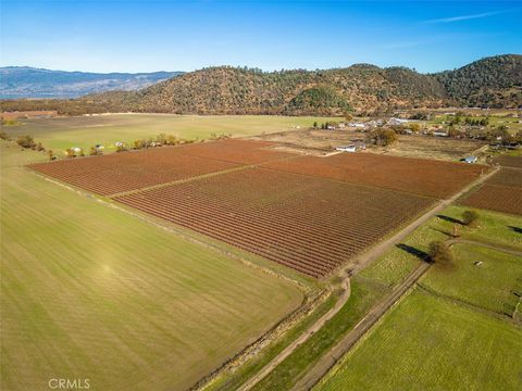 Photo of 4150 Gaddy Lane, Kelseyville, CA 95451 (MLS # LC25245014)