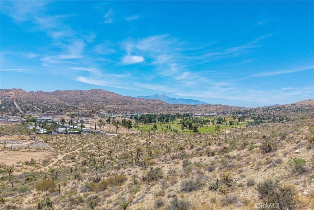 55652 Buena Vista Drive