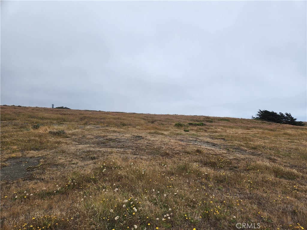 16200 S Highway 1