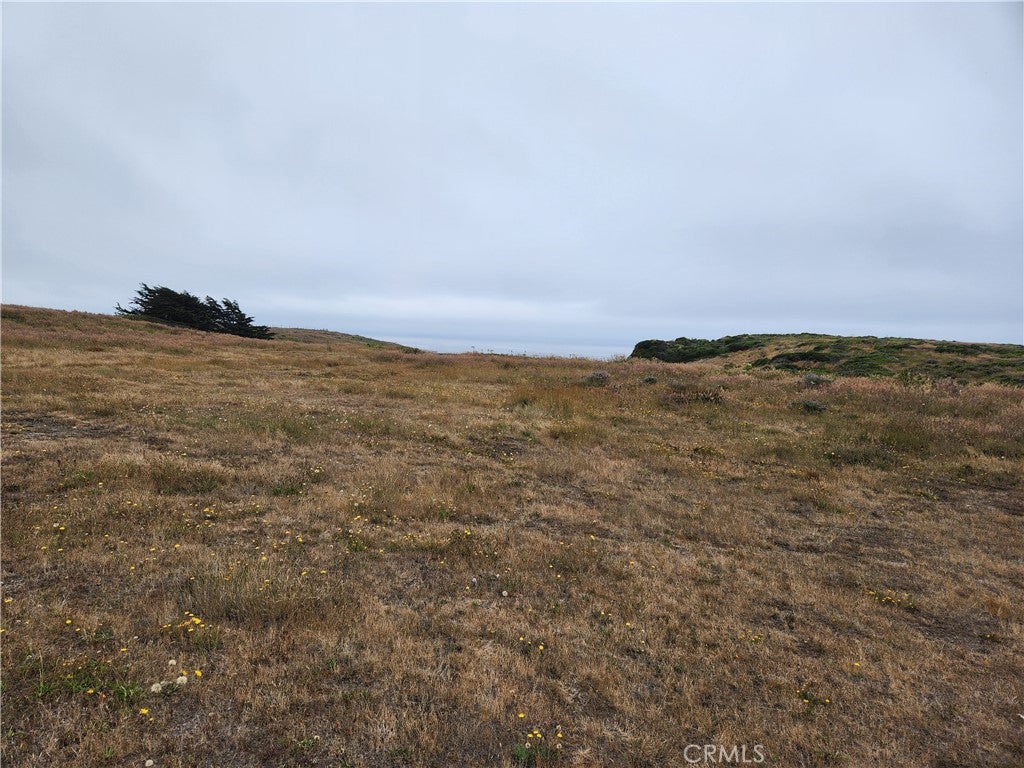 16200 S Highway 1