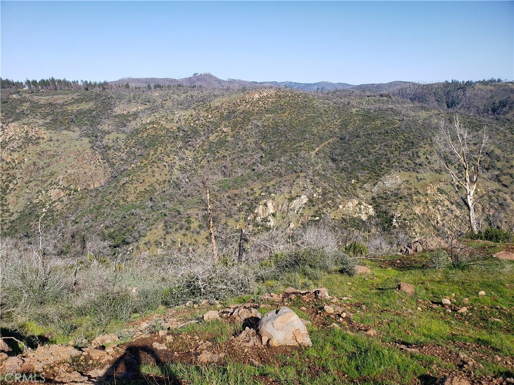 5236 Royal Canyon Lane