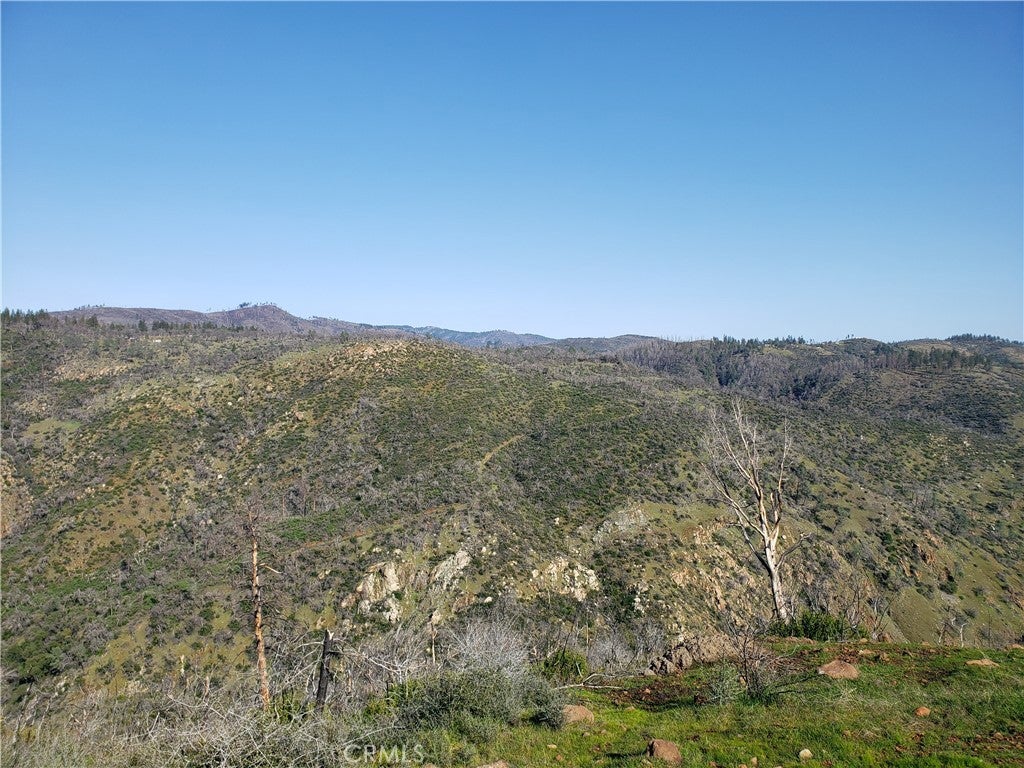 5236 Royal Canyon Lane