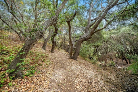 Tiny photo for 1550 Bayview Heights DR, Los Osos, CA 93402 (MLS # SC26181690)