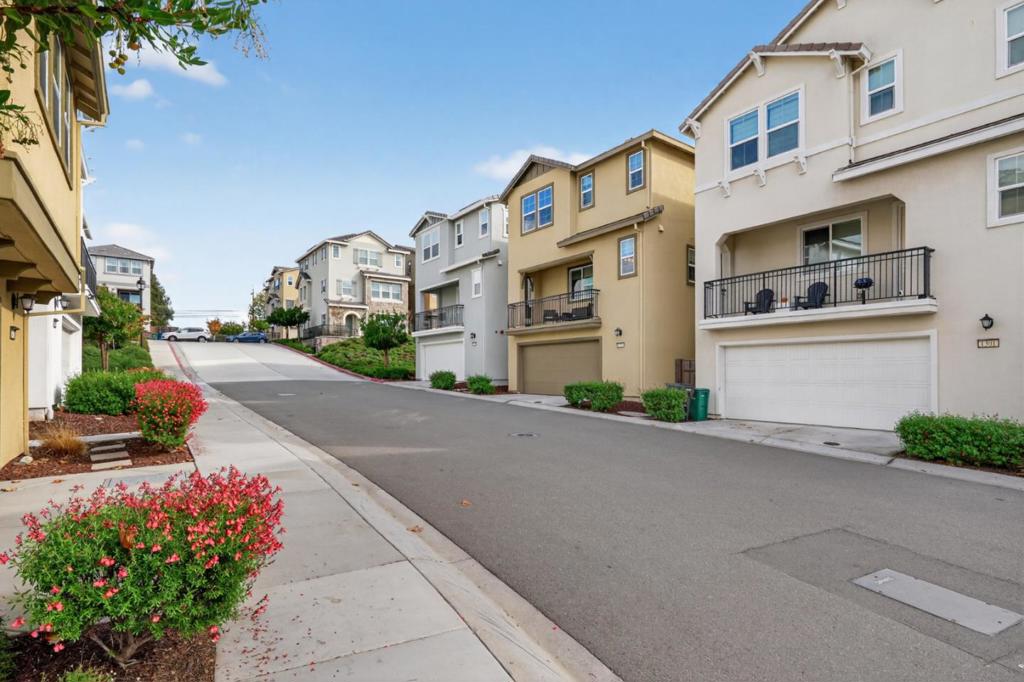 1303 Antonella Place