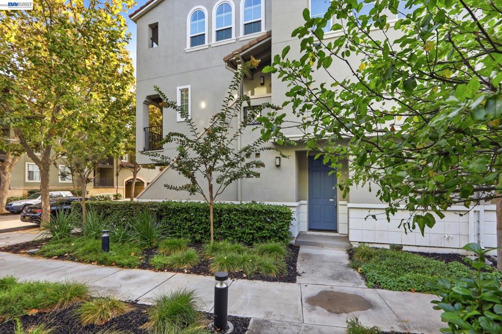 43 Bassett St