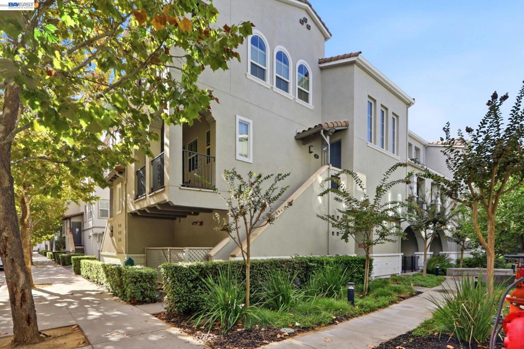 43 Bassett St
