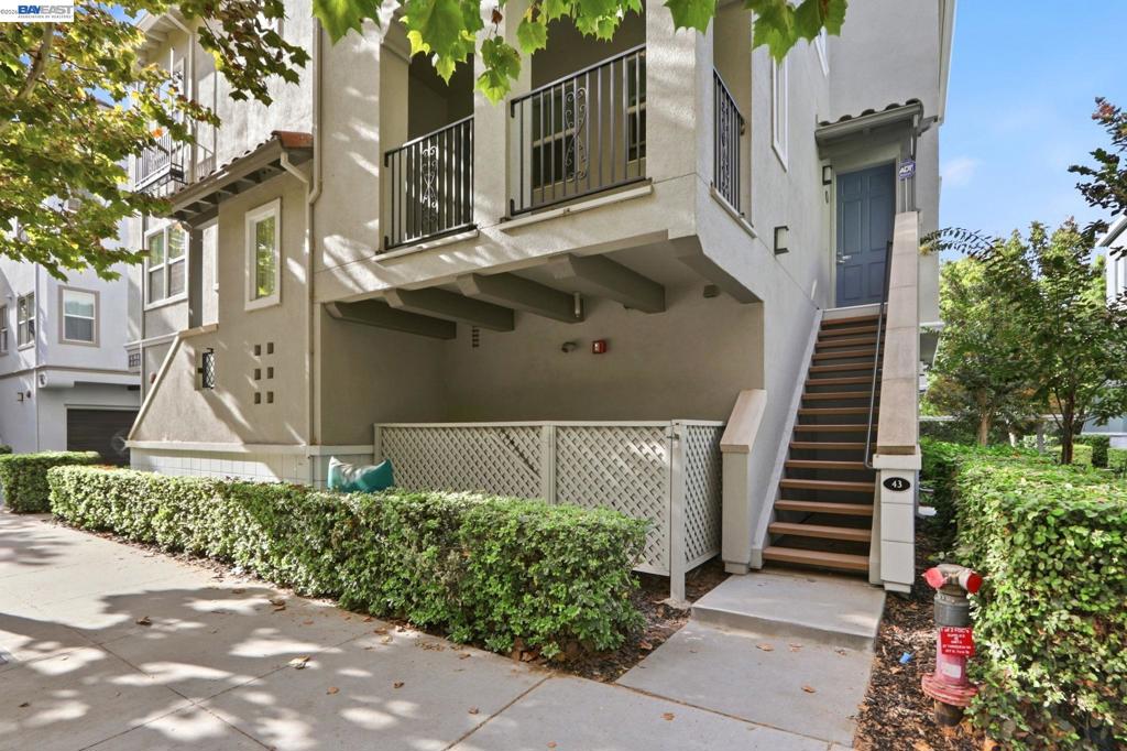 43 Bassett St