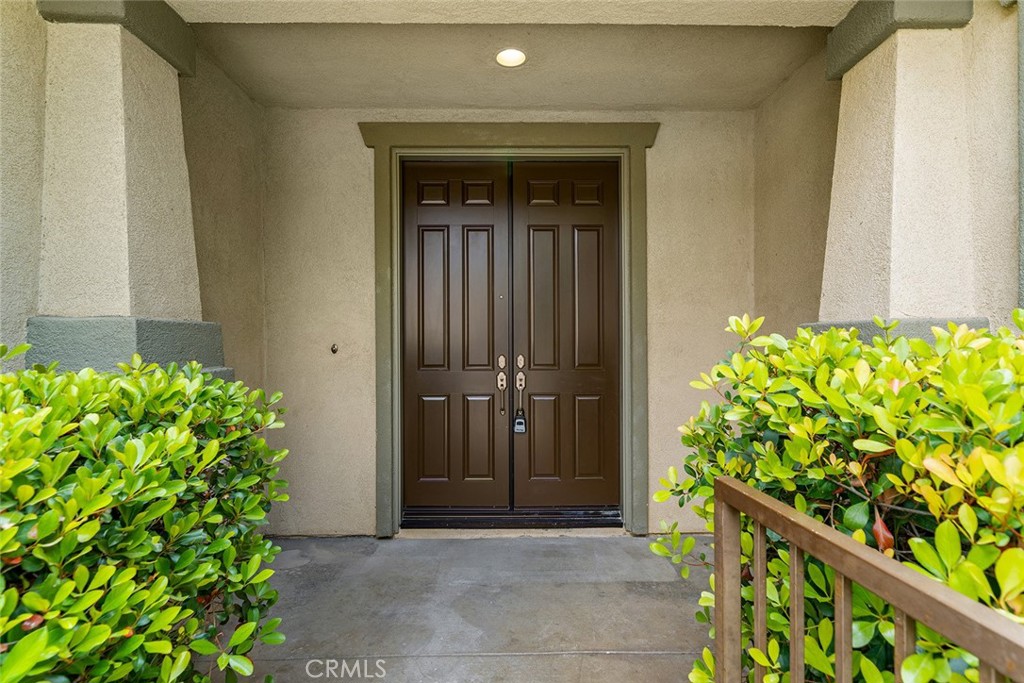 27062 Pumpkin Street