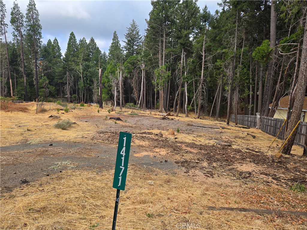 CHECK THIS OUT! Driveway still intact! Land is relatively flat and offers a ton of possibilities! Water and electricity available at the street. Septic tank and leach lines are on the property, but have not been inspected post Camp Fire. Property was just recently cleaned up nicely! This property is also part of the Paradise Pines Property Owners Association. For only $310/annually, you get access to the pool, hot tub, playground, hiking trails, ext. Come drive by this beauty today!