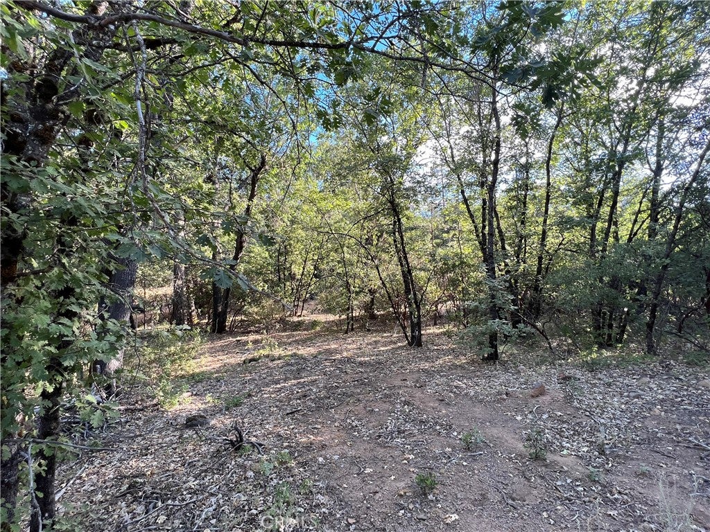 9204 Diamond Dust Trail
