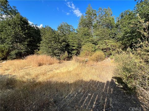 Photo of 9204 Diamond Dust Trail, Kelseyville, CA 95451 (MLS # LC23163658)