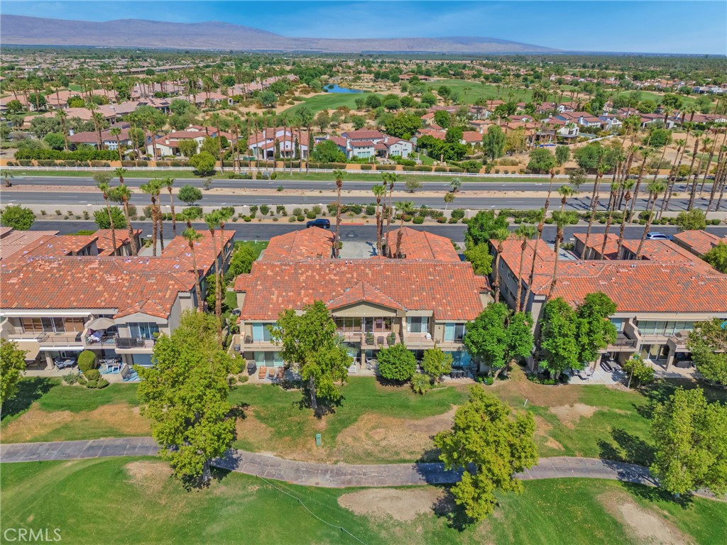 55353 Winged Foot