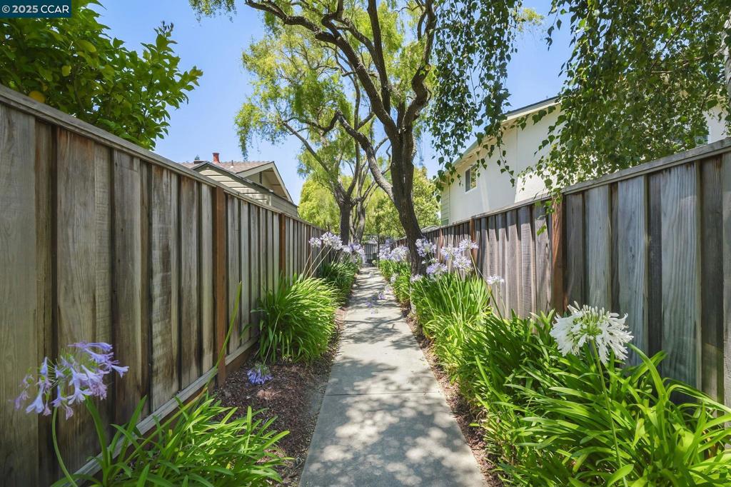 CASTLETON SQUARE - Residential