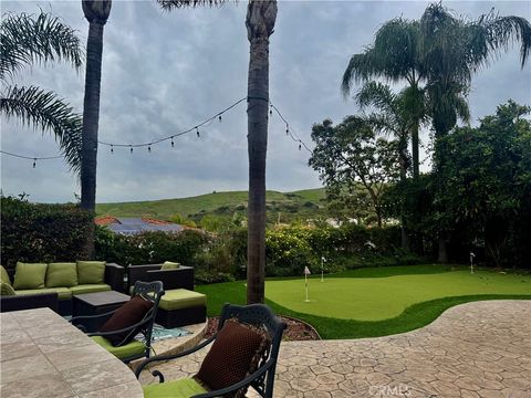 28382 Via Del Sereno San Juan Capistrano CA 92675