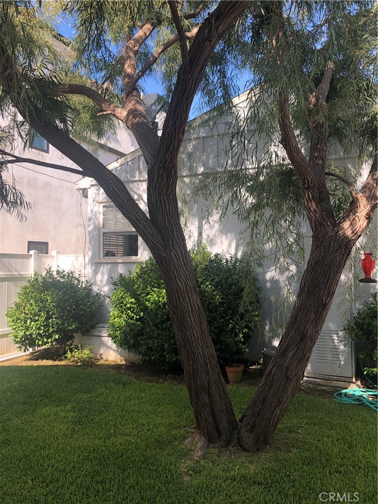 406 .5 Heliotrope Avenue B