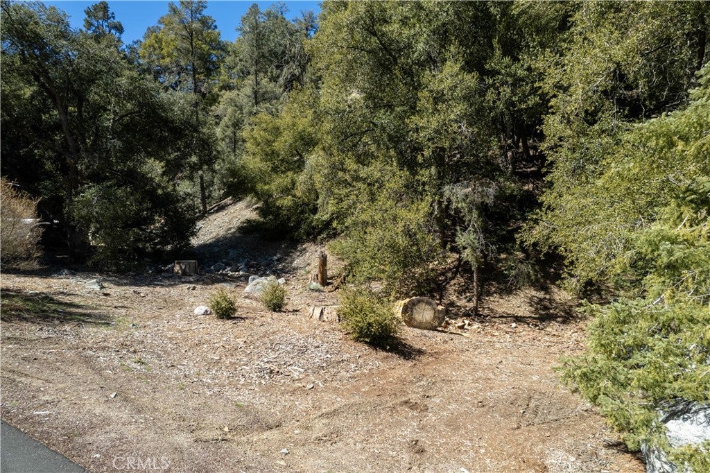 1301 Bernina Drive
