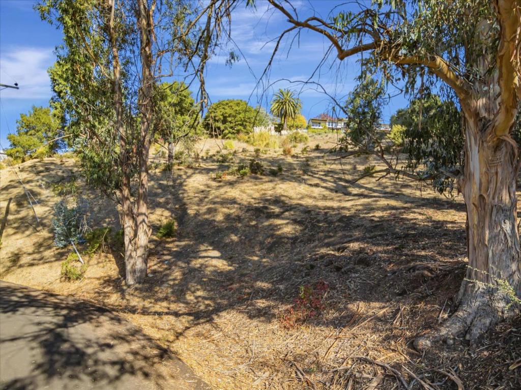 Nestled in the peaceful Chabot Park neighborhood of Oakland, 11388 Lochard Street offers a rare opportunity to build your dream home on a spacious vacant lot. Surrounded by mature trees and serene hillside views, this residential parcel provides the perfect canvas for a custom single-family residence or investment property. Located on a quiet cul-de-sac with easy access to Highway 580, Knowland Park, Oakland Zoo, and local hiking trails, this lot combines privacy with convenience. Whether you're a homeowner looking to design a personal retreat or a builder seeking your next project, this tranquil setting is ready for vision and possibility.