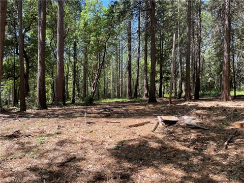 Photo of 55 Buckeye DR, Forbestown, CA 95941 (MLS # OR26203214)