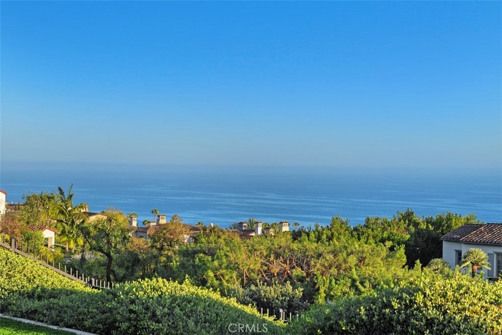 14 Rockshore, Newport Coast CA 92657 - Photo 59