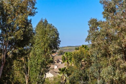 32036 Del Cielo Oeste 3B Bonsall CA 92003