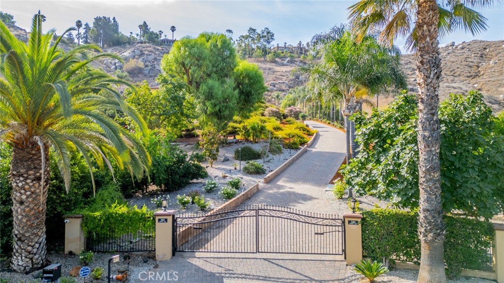 2490 Piedmont Drive