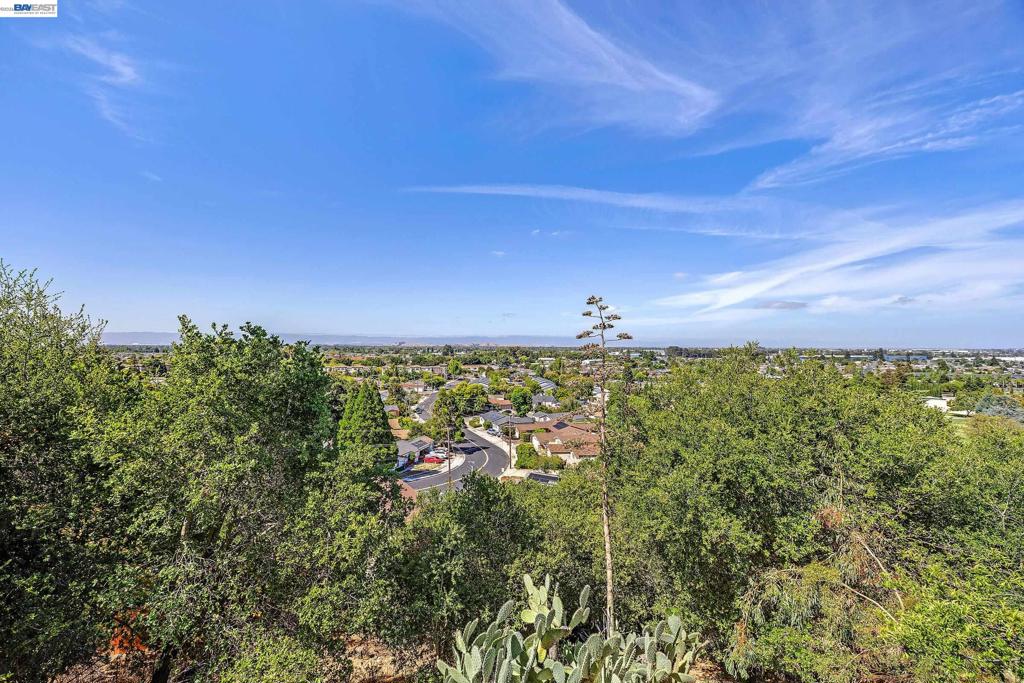 33027 Palmetto Drive