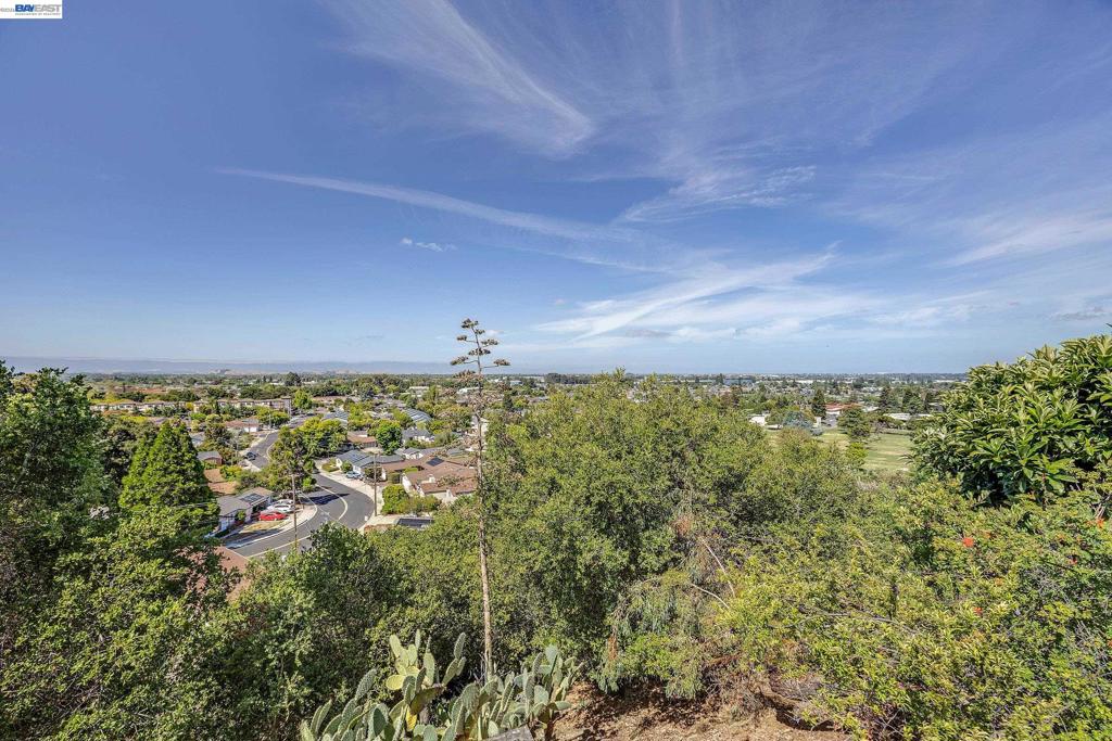 33027 Palmetto Drive