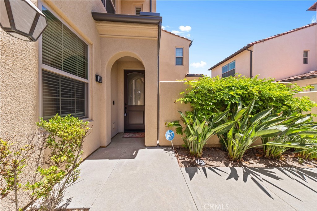53 Bay Laurel