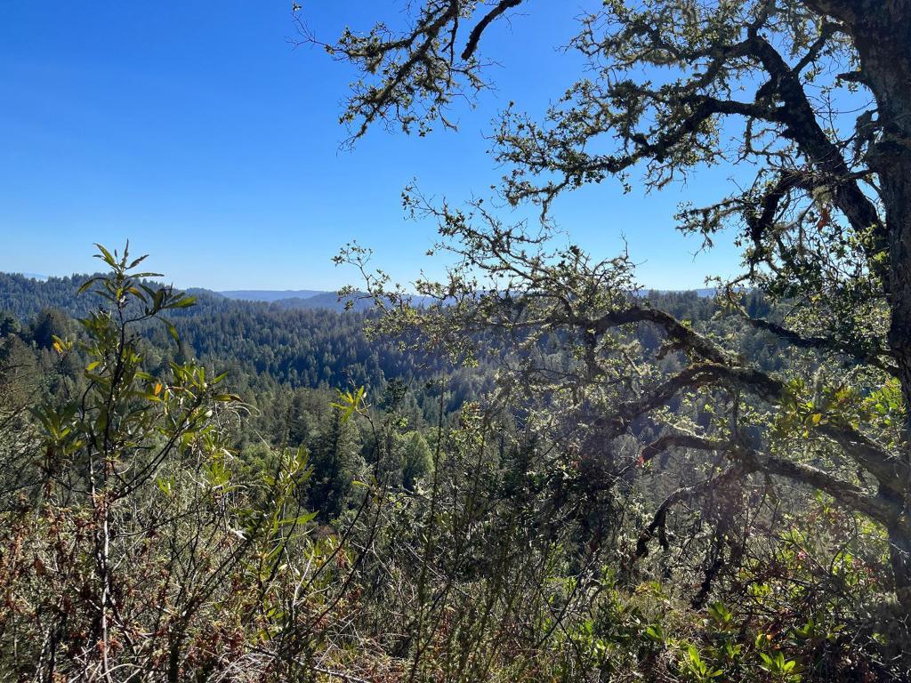 Bear Canyon Road