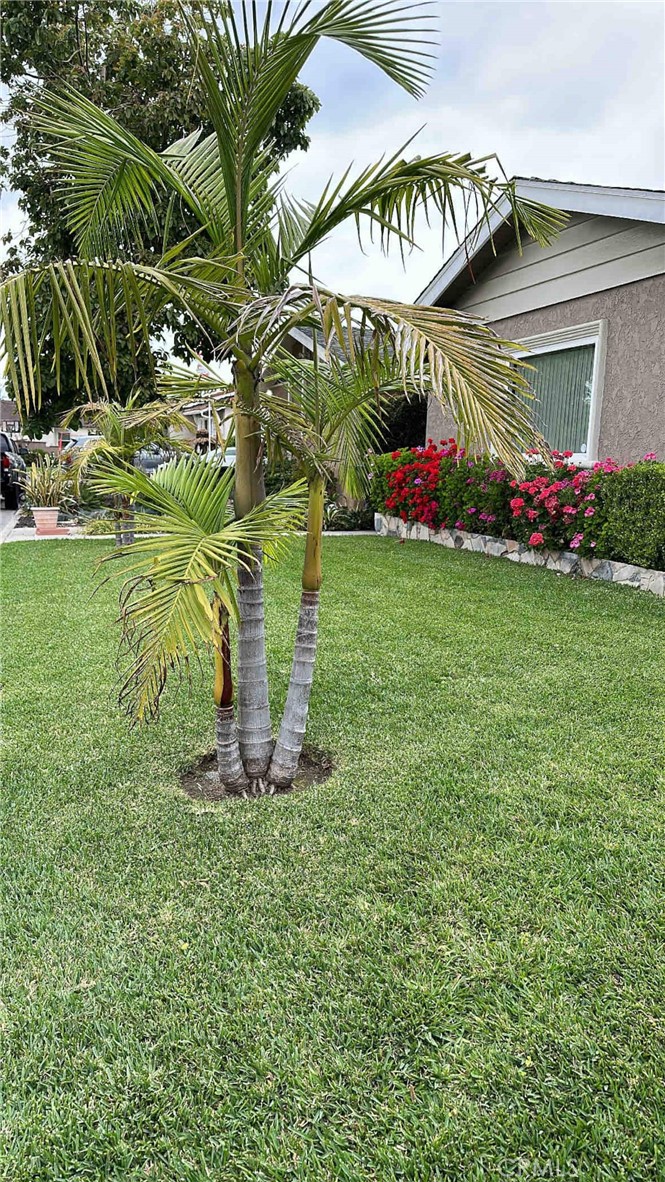 SHORT TERM LEASE FURNISHED HOME: This lovely 1900 sqft home is located on a quiet street in a nice suburban neighborhood on a cul-de-sac. The home is spacious and fully furnished. It is located on a quiet cul-de-sac in a residential area, yet still close to shops, restaurants, supermarkets and movie theater. All the amenities that Southern California has to offer including Disneyland, Knotts Berry Farm, Universal Studios, Beaches, etc... is easily accessed from this location, which is a quick ride to the major freeways.
In addition to 4 bedrooms, 2 bathrooms, a living and dining area, fully equipped kitchen and indoor laundry, there is an office with high speed FIOS internet. The kitchen is equipped with stove, oven, microwave, refrigerator, dishwasher, blender, Keurig coffee maker.
The bedrooms have closets with plenty of space for your things. There are TVs in each of the bedrooms and in the living room. There is a tub in the hall bath and a walk-in shower in the master bathroom.
Although the garage is not included (it is locked for storage space), there is space for two to three cars in the driveway and there is plenty of street parking. The backyard is private, fully fenced and has a dining area under the covered patio.