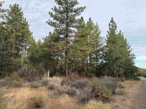 Photo of 00000 Little Vallley, Mcarthur, CA 96056 (MLS # 41147232)