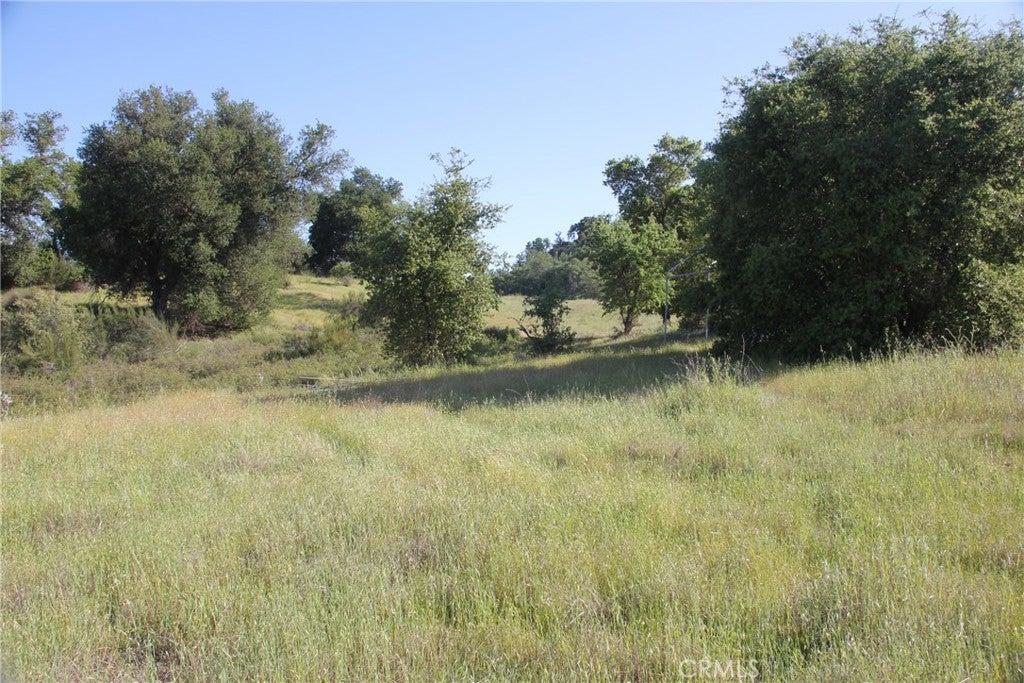 74650 Interlake