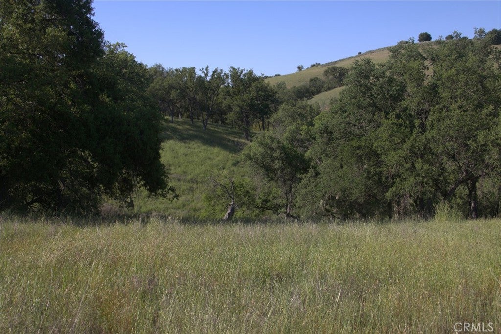 74650 Interlake
