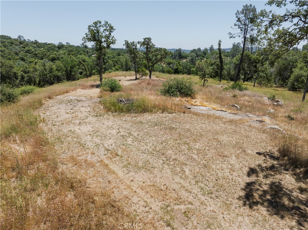 3 Acres Serendipity Lane