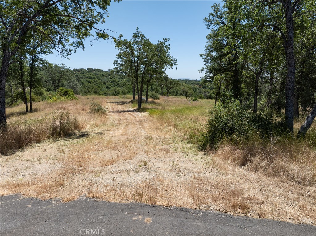 3 Acres Serendipity Lane